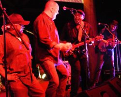 Zac Harmon Band Live