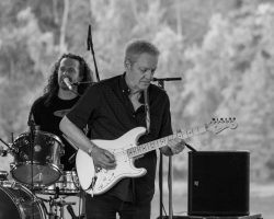 Atomic Jive Guitar