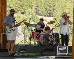 Blue Shadows Band